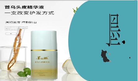 墨之極精華液系列